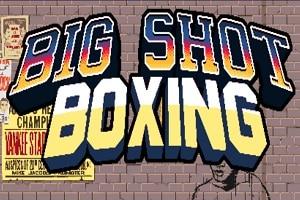 BIG SHOT BOXING - Play Online for Free!